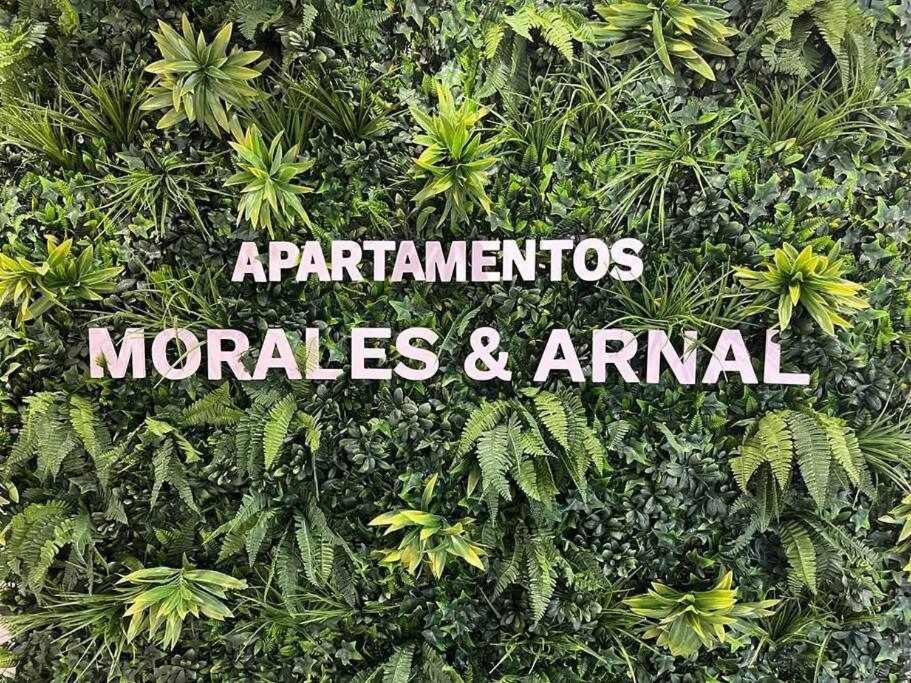 XVIII B Suite Apartamentos Morales & Arnal รอนดา ภายนอก รูปภาพ